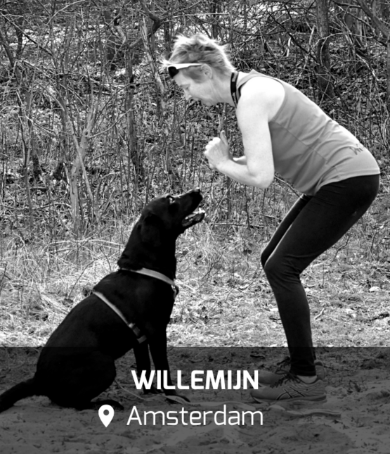 WOOCAMP_amsterdam