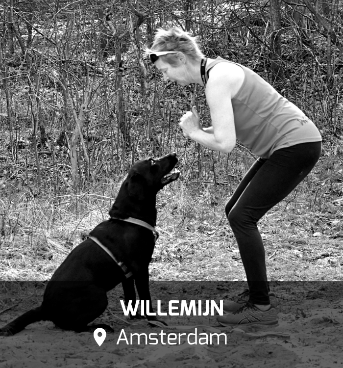 WOOCAMP_amsterdam