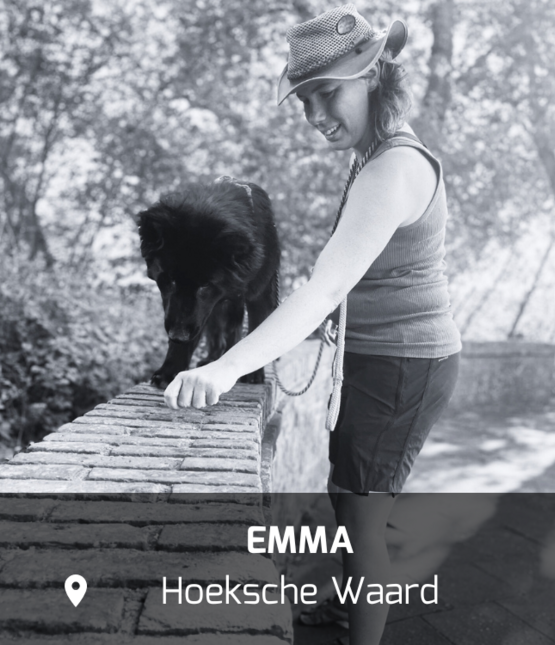 WOOFCAMP_hoekschewaard rotterdam