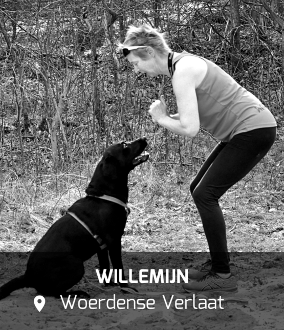 WOOCAMP_woerdenseverlaat