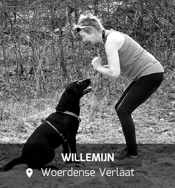 WOOCAMP_woerdenseverlaat