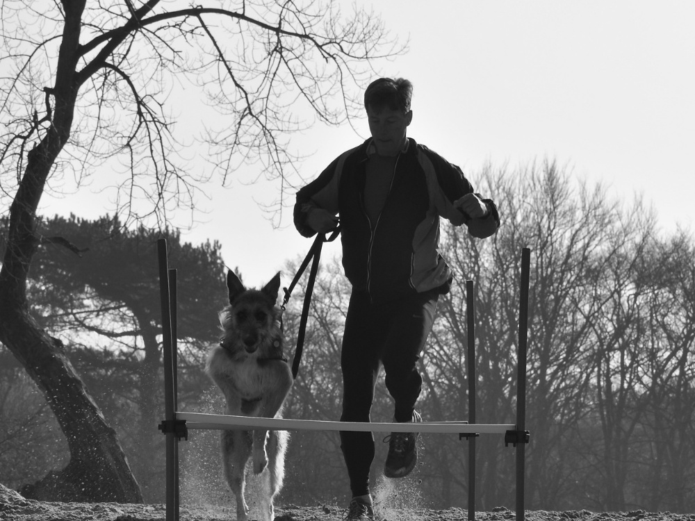 Complete opleiding Sport-instructeur voor Hond & Mens